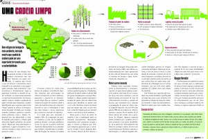 Cadeia limpa: edição junho/2010