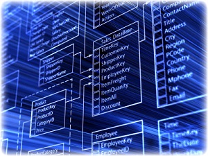 ibyte-investe-em-wms