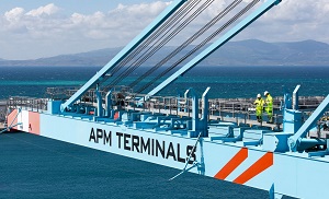 apm-amplia-terminal